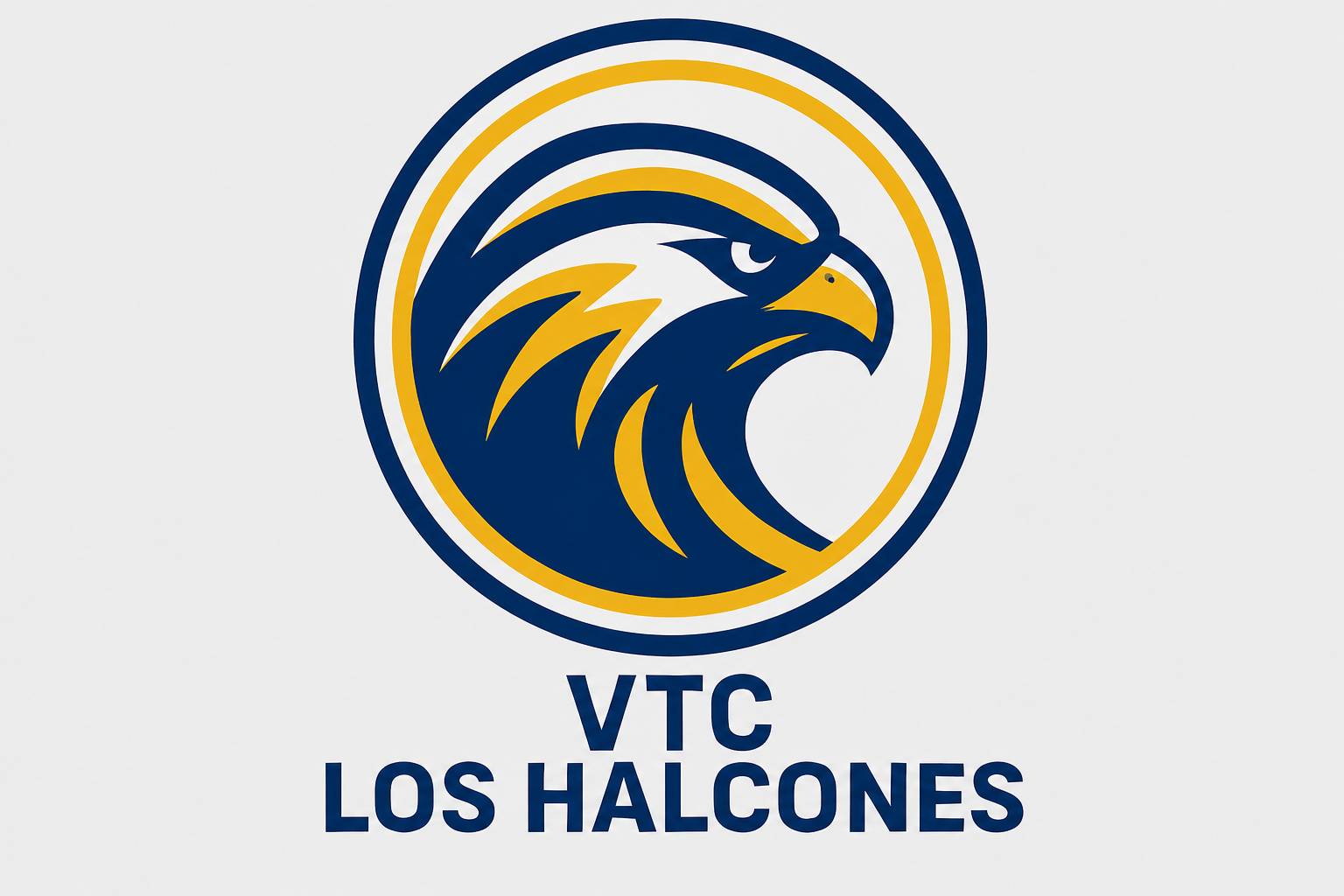 VTC Los Halcones