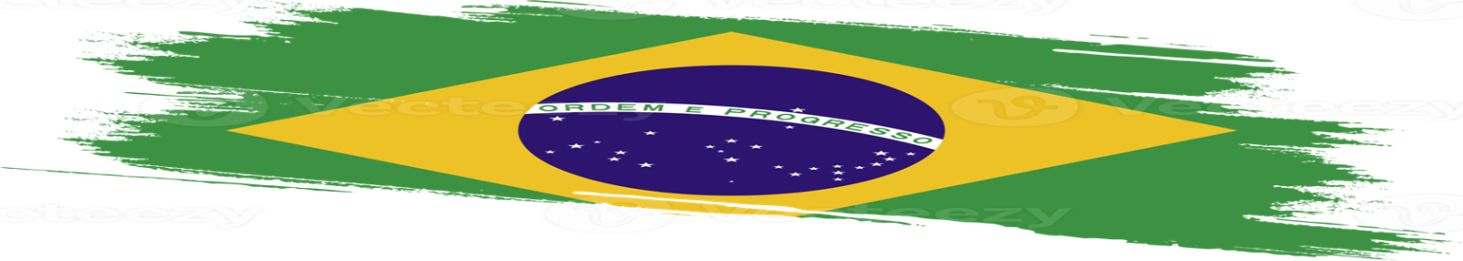 MG transportes
