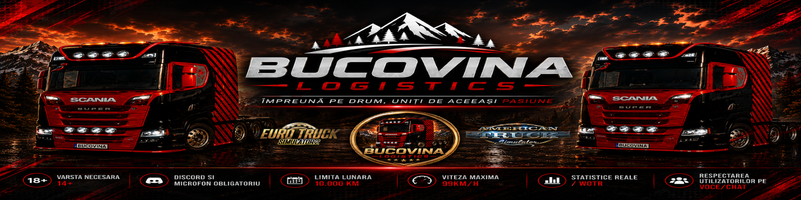 BUCOVINA LOGISTICS