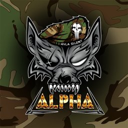 VTC "ALPHA GROUP"