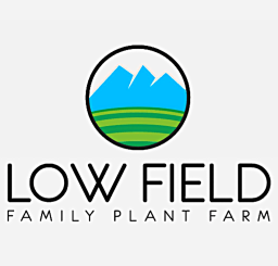 LOW FIELD